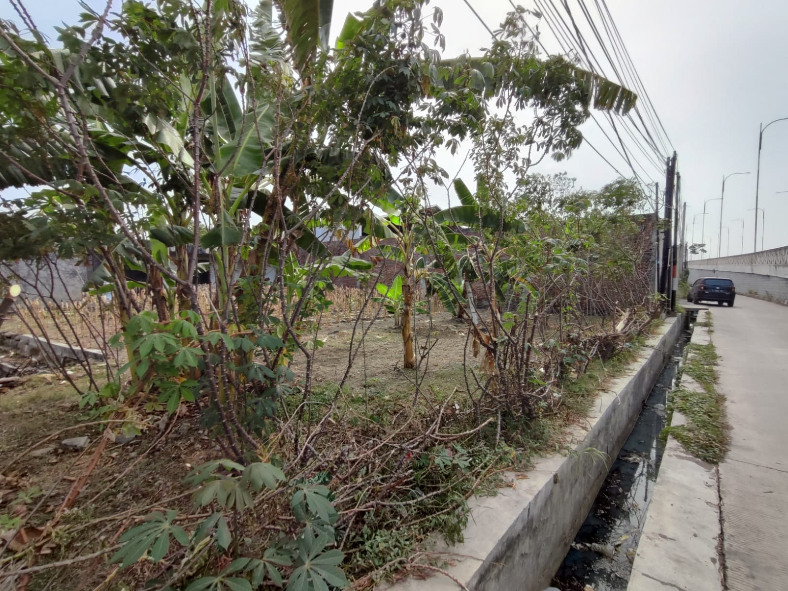 DIJUAL CEPAT
Tanah Kavling Siap Bangun, Lokasi Strategis, Pinggir Jalan Raya, Bebas Banjir