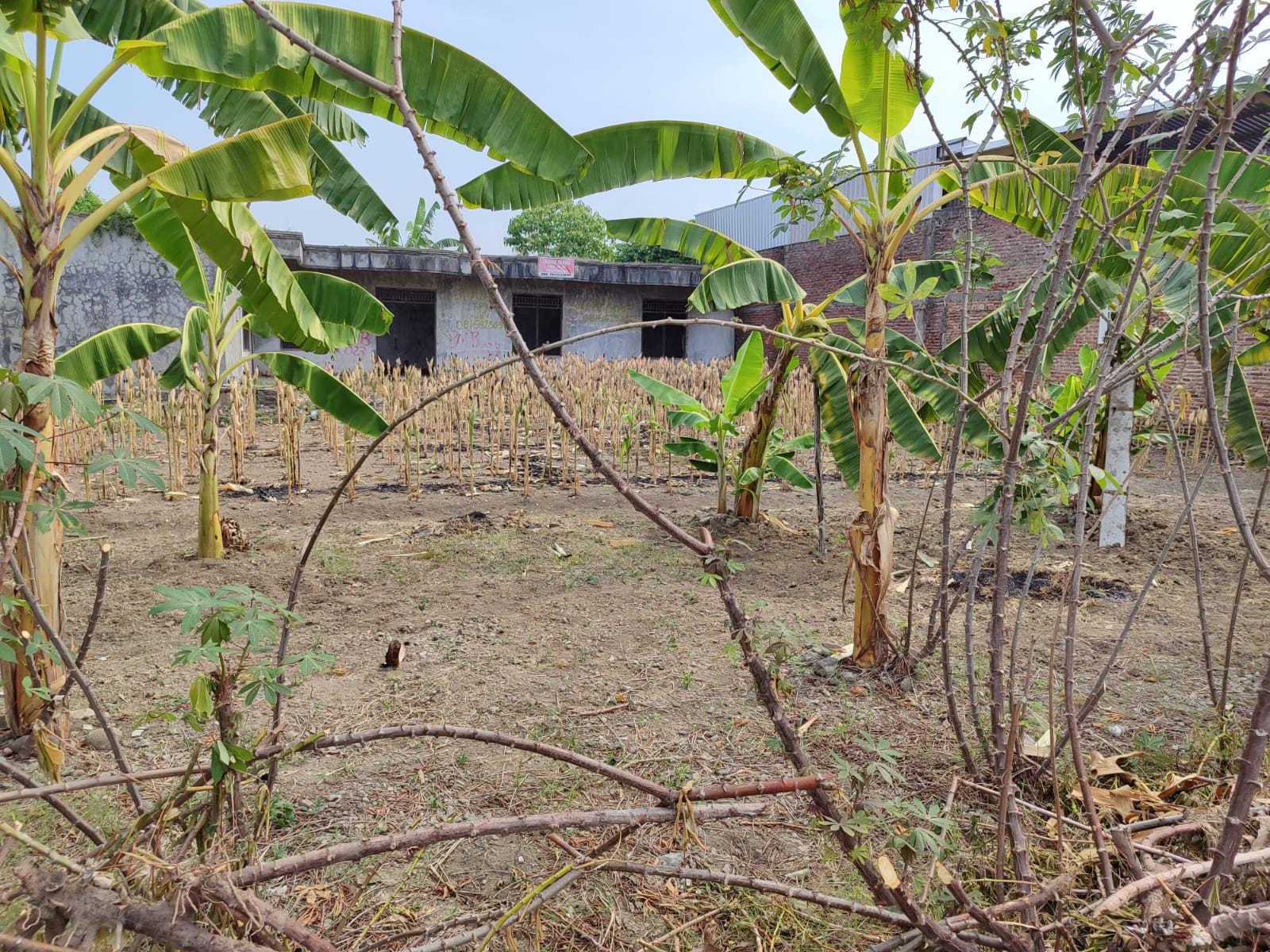 Jual Rumah Bagus properti DIJUAL CEPAT
Tanah Kavling Siap Bangun, Lokasi Strategis, Pinggir Jalan Raya, Bebas Banjir